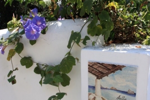 Eolian-Islands-363