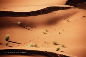 "Maroc"